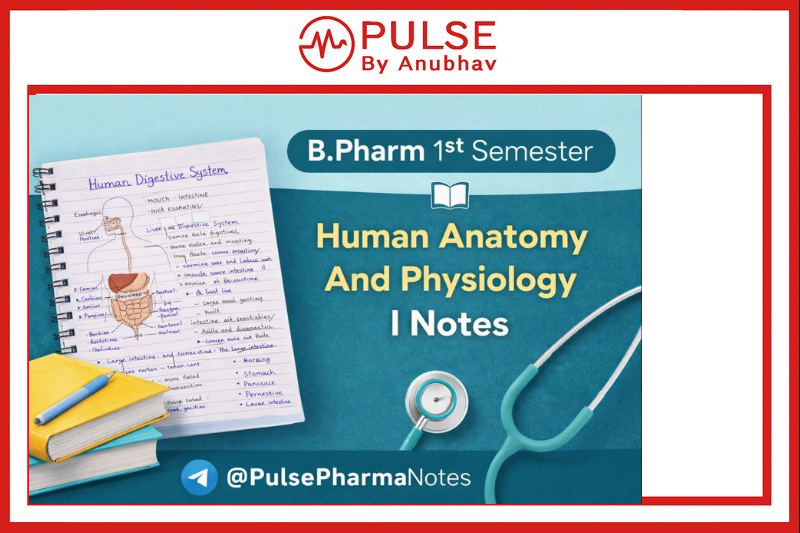 B.Pharm 1st Semester Human Anatomy And Physiology I Notes PDF