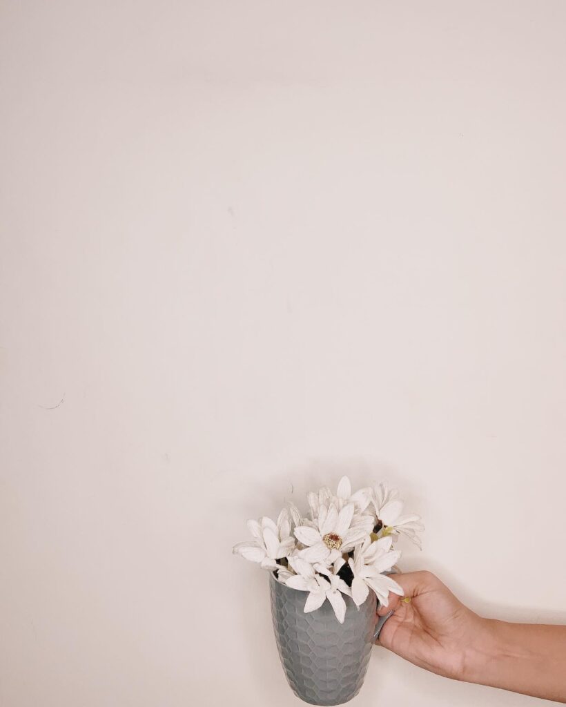 Jiya Shankar viral video