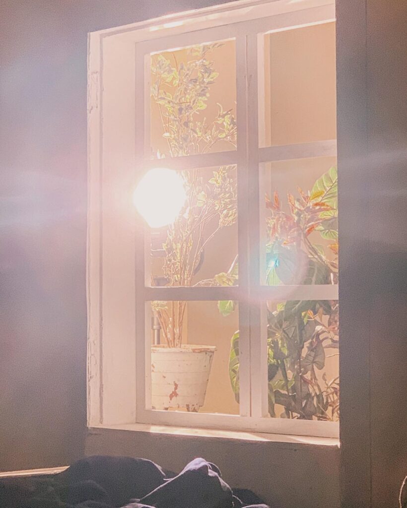 Jiya Shankar  movies