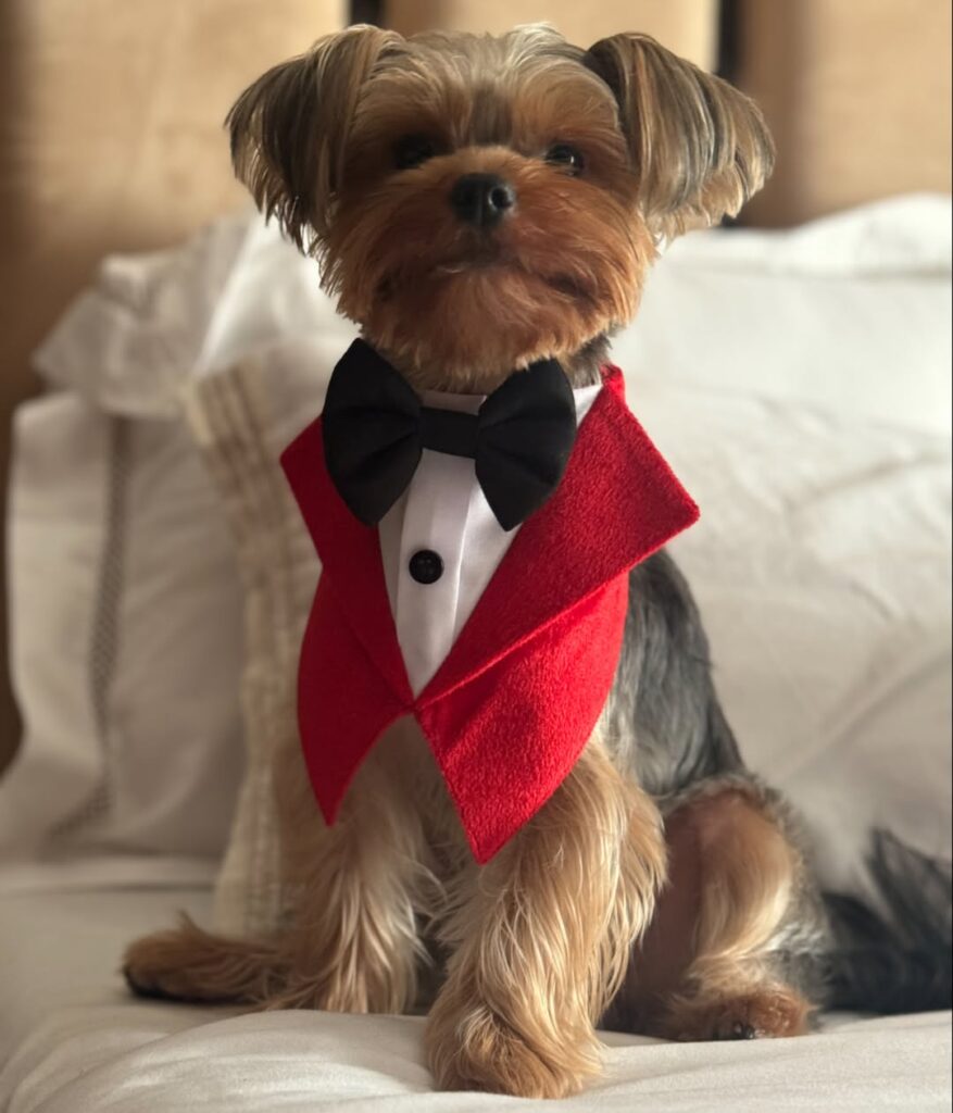 Cast of tu yaa main wikipedia
Cast of tu yaa main shanaya kap
Tu Yaa Main movie
Tu Yaa Main release date
Cast of tu yaa main trailer
Tu Yaa Main is remake of which movie
Tu Yaa Main director
Tu Yaa Main movie story
Shanaya Kapoor age
Shanaya kapoor instagram
Shanaya Kapoor movies
Shanaya Kapoor - wikipedia
Shanaya Kapoor father
Shanaya Kapoor Height
Shanaya Kapoor husband
Shanaya Kapoor before and after
Shanaya Kapoor movies
Shanaya kapoor instagram
Shanaya Kapoor age
Shanaya Kapoor father
Shanaya Kapoor husband
Shanaya Kapoor upcoming movies
Shanaya Kapoor first movie
Shanaya Kapoor parents
