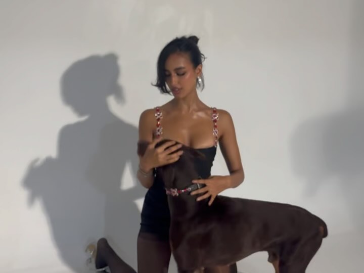 Mahieka Sharma age
Mahieka Sharma instagram
Mahieka Sharma movies
Mahieka Sharma wikipedia
Mahieka Sharma Hardik Pandya
Mahieka Sharma Husband
Mahieka Sharma Hardik GF
Mahieka Sharma biography
Mahieka Sharma Hardik Pandya
Mahieka Sharma Hardik Pandya age
Mahieka Sharma Hardik GF
Mahieka Sharma date of Birth
Mahieka Sharma instagram
Mahieka Sharma photos
Mahieka Sharma net worth
Mahieka Sharma family
Mahieka Sharma Hardik Pandya age
Mahieka Sharma Hardik Pandya Gf instagram id
Mahieka Sharma Hardik Pandya biography
Mahieka Sharma Hardik Pandya date of birth
Mahieka Sharma Hardik Pandya height
Mahieka Sharma birthday
Hardik Pandya wife
Mahira Sharma