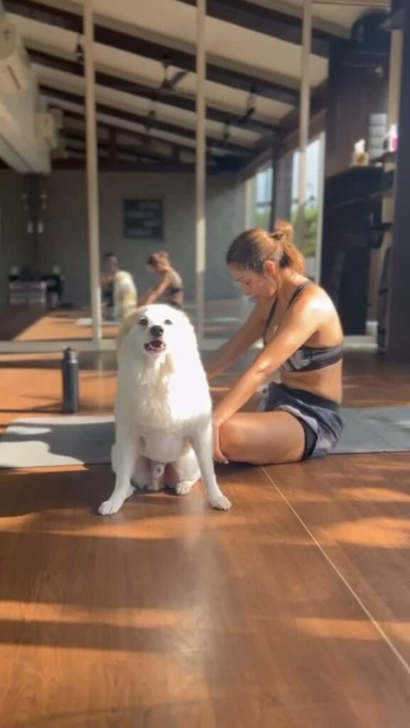 Malaika Arora sexy images