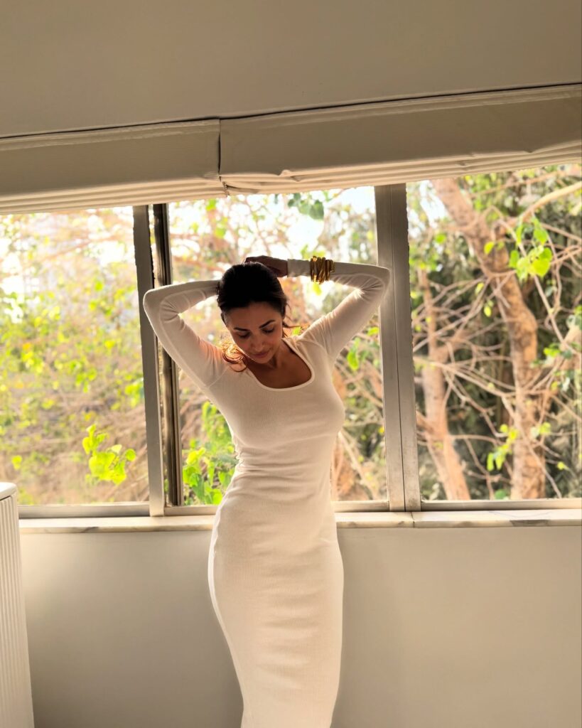 Malaika Arora movies scene