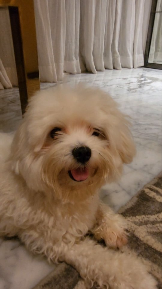 Radhika Madan age
Radhika Madan Husband photos
Radhika Madan instagram
Radhika Madan Height In inch
Radhika Madan family
Radhika Madan religion
Radhika Madan marriage
Radhika Madan Weight
Radhika Madan age
Radhika Madan biography
Radhika Madan instagram
Radhika Madan marriage
Radhika Madan movies and TV shows
Radhika Madan Songs
Radhika Madan wikipedia
Radhika Madan husband, Radhika Madan biography, age, movies, Instagram photos, and interesting facts. Know about her journey from Meri Aashiqui Tum Se Hi to Bollywood films like Pataakha, Angrezi Medium, Shiddat and her latest film Subedaar.