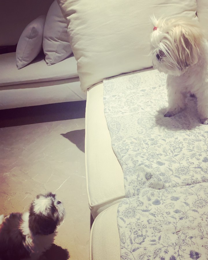 Aisha Sharma husband name
Aisha Sharma child
Aisha Sharma father
Aisha Sharma marriage
Aisha Sharma family
Aisha Sharma date of Birth
Aisha Sharma instagram
Aisha Sharma Height
Aisha Sharma age
Aisha Sharma height
Aisha Sharma boyfriend
Aisha Sharma biography
Aisha Sharma net worth
Aisha Sharma sister
Aisha Sharma movies
Aisha Sharma Instagram
Aisha Sharma book Bloom
Aisha Sharma debut movie
Aisha Sharma family
Aisha Sharma fitness routine
Aisha Sharma photos
Aisha Sharma latest news
Aisha Sharma author book