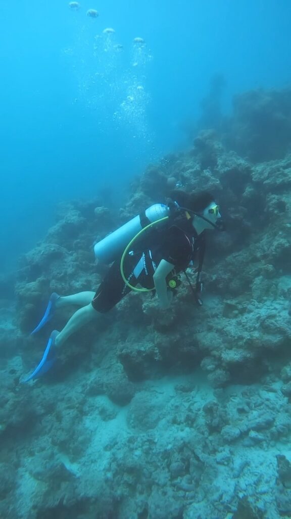 mehreen pirzada
mehreen
Mehreen instagram
Mehreen Pirzada biography
Mehreen Pirzada marriage
Mehreen Pirzada Songs
Mehreen Pirzada movies
Mehreen Pirzada husband
Mehreen Pirzada religion
Mehreen Pirzada age
Mehreen Pirzada biography
MEHREEN Pirzada Instagram
Mehreen Pirzada marriage
Mehreen Pirzada Songs
Tv shows with Mehreen Pirzada
Mehreen Pirzada web series name
Mehreen Pirzada husband
Mehreen Pirzada religion
Mehreen Pirzada Marries
Mehreen Pirzada wedding pics
Mehreen Pirzada Arsh Aulakh wedding
Mehreen Pirzada husband name
Mehreen Pirzada marriage date
Mehreen Pirzada Anand Karaj wedding
Mehreen Pirzada wedding Himachal Pradesh
Mehreen Pirzada Instagram wedding photos
Mehreen Pirzada viral wedding pictures
Mehreen Pirzada biography
Mehreen Pirzada age and family
Mehreen Pirzada movies list
Mehreen Pirzada net worth
Mehreen Pirzada boyfriend history
Mehreen Pirzada Bhavya Bishnoi engagement