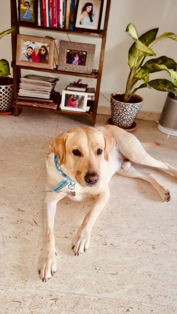 mehreen pirzada
mehreen
Mehreen instagram
Mehreen Pirzada biography
Mehreen Pirzada marriage
Mehreen Pirzada Songs
Mehreen Pirzada movies
Mehreen Pirzada husband
Mehreen Pirzada religion
Mehreen Pirzada age
Mehreen Pirzada biography
MEHREEN Pirzada Instagram
Mehreen Pirzada marriage
Mehreen Pirzada Songs
Tv shows with Mehreen Pirzada
Mehreen Pirzada web series name
Mehreen Pirzada husband
Mehreen Pirzada religion
Mehreen Pirzada Marries
Mehreen Pirzada wedding pics
Mehreen Pirzada Arsh Aulakh wedding
Mehreen Pirzada husband name
Mehreen Pirzada marriage date
Mehreen Pirzada Anand Karaj wedding
Mehreen Pirzada wedding Himachal Pradesh
Mehreen Pirzada Instagram wedding photos
Mehreen Pirzada viral wedding pictures
Mehreen Pirzada biography
Mehreen Pirzada age and family
Mehreen Pirzada movies list
Mehreen Pirzada net worth
Mehreen Pirzada boyfriend history
Mehreen Pirzada Bhavya Bishnoi engagement