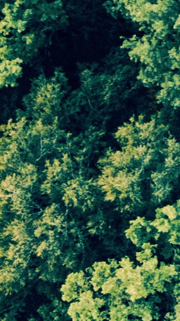 Mona Singh husband
Mona Singh net worth
Mona Singh first husband
Mona Singh age
Mona Singh children
Mona Singh husband age
Mona Singh net worth in rupees
Shyam Rajagopalan age
Mona Singh biography
Mona Singh age and husband
Mona Singh net worth 2026
Mona Singh movies and web series list
Mona Singh Maa Ka Sum role
Mona Singh height and family
Mona Singh TV shows list
Mona Singh latest news
Mona Singh OTT shows
Mona Singh career journey