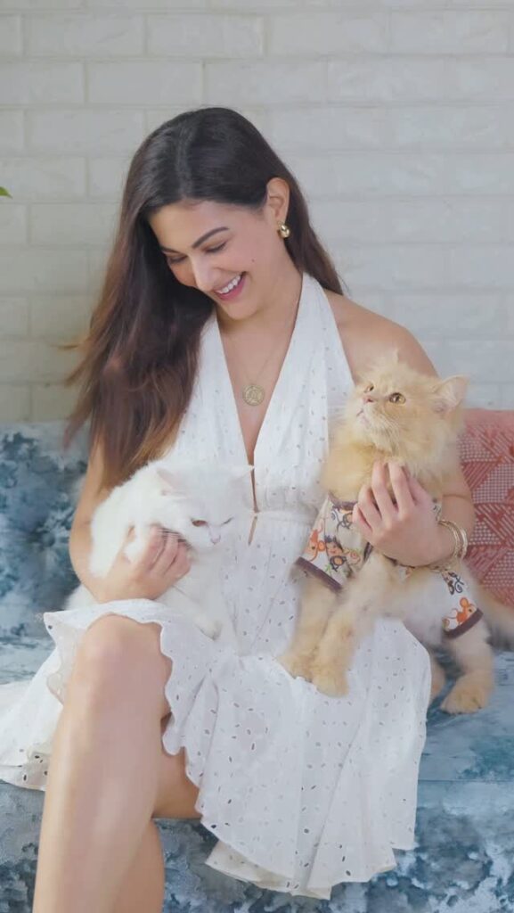 Amyra Dastur net worth
Amyra Dastur Husband Name
Amyra Dastur age
Amyra Dastur Height
Amyra Dastur instagram
Amyra Dastur marriage
Amyra Dastur religion
Amyra Dastur Net Worth in rupees
Amyra Dastur movies
Amyra Dastur instagram
Amyra Dastur husband
Amyra Dastur cast
Amyra Dastur age
Amyra Dastur religion
Amyra Dastur famous movies
Amyra Dastur parents
Amyra Dastur age
Amyra Dastur height
Amyra Dastur boyfriend
Amyra Dastur biography
Amyra Dastur net worth
Amyra Dastur family
Amyra Dastur movies list
Amyra Dastur web series
Amyra Dastur husband
Amyra Dastur Instagram
Amyra Dastur latest news
Amyra Dastur photos
Amyra Dastur debut movie
Amyra Dastur education
Amyra Dastur lifestyle