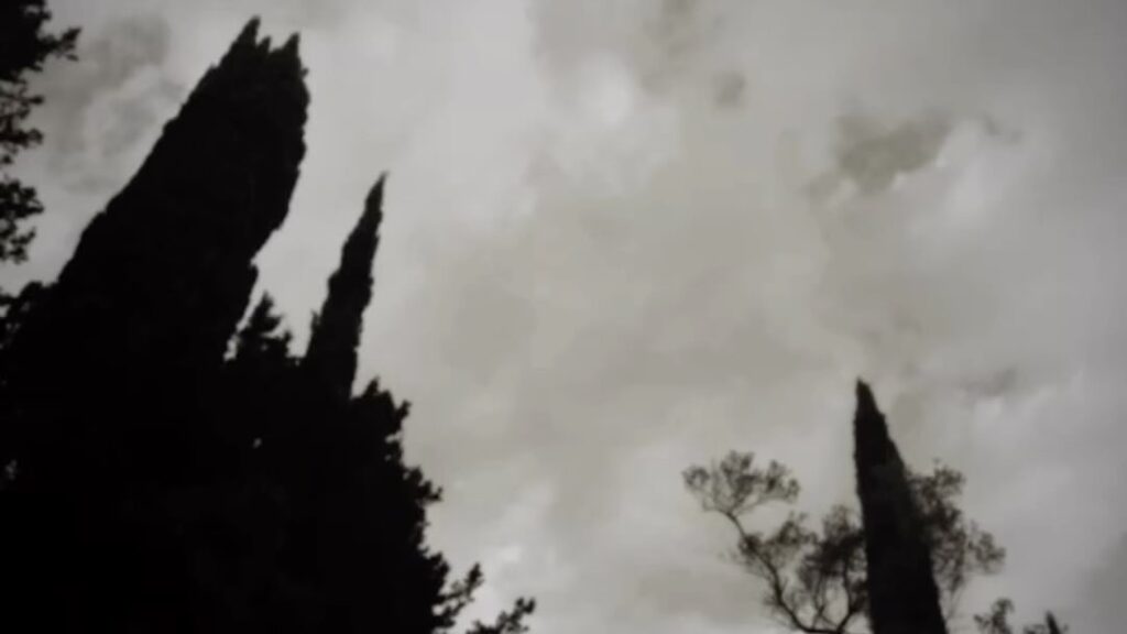 Shruti Haasan Husband name
Shruti Haasan date of Birth
Shruti Haasan husband age
Akshara Haasan age
Shruti haasan age in 2013
Is Shruti Haasan married
Shruti Haasan Height, Weight
Shruti Haasan age 2026
Shruti Haasan Odiyamma
Shruti haasan kannuladha
Shruti Haasan songs new
Shruti haasan songs 2026
Shruti haasan songs english
Shruti Haasan songs lyrics
Shruti Haasan songs Varanasi
Shruti Haasan songs pavazhamalli
Peddi cast
Peddi songs
Peddi movie release date
Peddi meaning
Peddi Director
Peddi producer
Peddi wikipedia
Peddi budget
Shruti Haasan Peddi song
Shruti Haasan Ram Charan song
Shruti Haasan age and biography
Shruti Haasan height and weight
Shruti Haasan latest news 2026
Shruti Haasan upcoming movies
Shruti Haasan special song Peddi
Peddi movie release date
Peddi movie cast and crew
Ram Charan Peddi update
Shruti Haasan affairs and relationships
Shruti Haasan net worth
Shruti Haasan songs list
Shruti Haasan movies list
Shruti Haasan Instagram photos