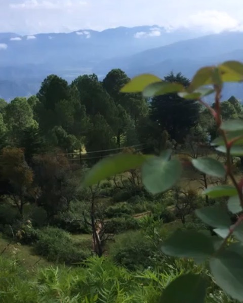 Nikki Sharma and Ranveer Allahbadia
Juhi Bhatt Ranveer Allahbadia
Nikki Sharma instagram
Ranveer Allahbadia age
Ranveer Allahbadia biography
Ranveer Allahbadia marriage
Ranveer Allahbadia movies
Ranveer Allahbadia wiki
Ranveer Allahbadia gf
Ranveer Allahbadia wife
Ranveer Allahbadia net worthJuhi Bhatt Age
Juhi Bhatt instagram
Juhi bhatt biography
Juhi Bhatt movies
Tv shows with Juhi Bhatt
Juhi Bhatt Ranveer Allahbadia
Juhi Bhatt husband
Nikki Sharma
Nikki Sharma age
Nikki Sharma boyfriend
Nikki Sharma Ranveer Allahbadia relationship
Nikki Sharma Instagram
Nikki Sharma biography
Nikki Sharma TV shows list
Nikki Sharma net worth
Nikki Sharma family details
Nikki Sharma Sasural Simar Ka role
Nikki Sharma Shiv Shakti actress
Ranveer Allahbadia Juhi Bhatt relationship
Juhi Bhatt biography
Nikki Sharma breakup news
Nikki Sharma latest news
Nikki Sharma trending