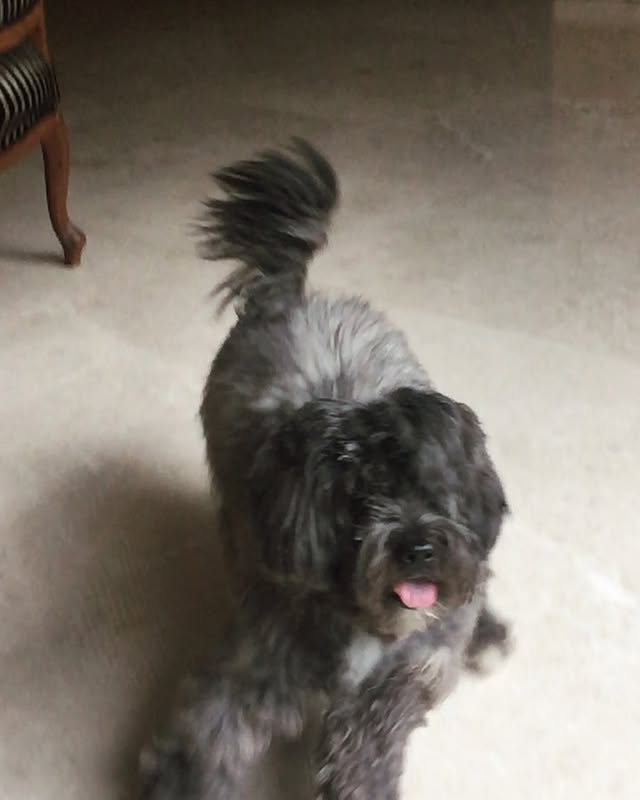 Naila Grewal religion
Naila Grewal Net Worth
Naila Grewal birth place
Naila grewal father
Naila Grewal Family
Naila Grewal sister
Naila Grrewal in Tamasha
Naila Grrewal movies and TV shows
Naila Grrewal biography
Naila Grrewal age and height
Naila Grrewal boyfriend name
Naila Grrewal family details
Naila Grrewal movies and shows list
Naila Grrewal Tamasha role
Naila Grrewal Maamla Legal Hai Season 2
Naila Grrewal net worth 2026
Naila Grrewal Instagram
Naila Grrewal education and background
Maamla Legal Hai 2 review
Maamla Legal Hai Season 2 cast
Ananya Shroff actress name
Is Maamla Legal Hai 2 worth watching
Naila Grrewal latest news