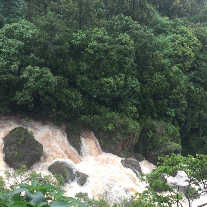 Kayadu Lohar date of birth
Kayadu Lohar height
Kayadu Lohar husband
Kayadu Lohar net worth
Kayadu Lohar Weight and height
Kayadu lohar instagram
Kayadu Lohar relationship
Kayadu Lohar parents
Kayadu Lohar biography 2026
Kayadu Lohar age and height
Kayadu Lohar movies list
Kayadu Lohar Dragon movie role
Kayadu Lohar net worth 2026
Kayadu Lohar Pallichattambi update
Kayadu Lohar Instagram followers
Kayadu Lohar boyfriend or relationship
Kayadu Lohar upcoming movies 2026
Kayadu Lohar family details