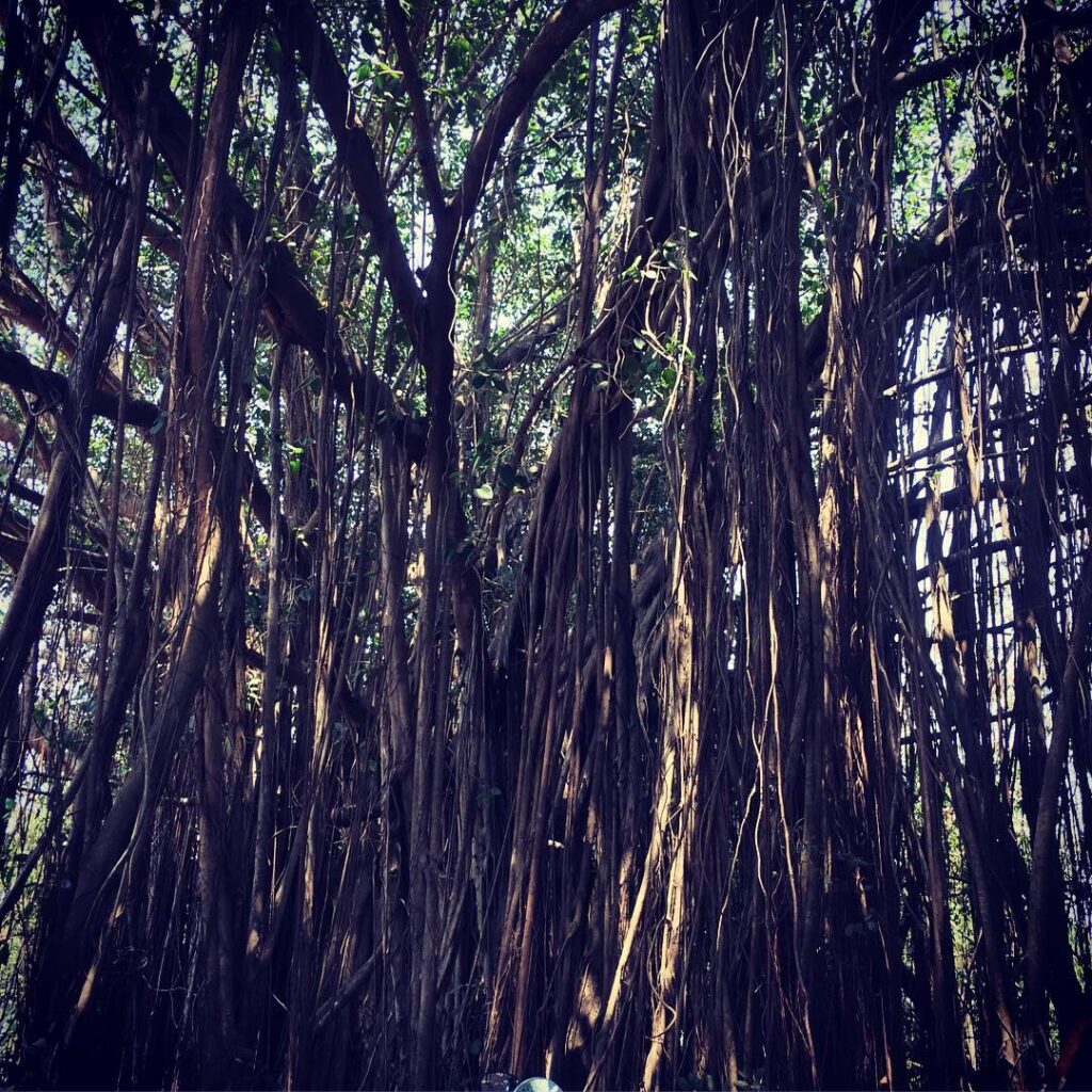 Nikki Sharma and Ranveer Allahbadia
Juhi Bhatt Ranveer Allahbadia
Nikki Sharma instagram
Ranveer Allahbadia age
Ranveer Allahbadia biography
Ranveer Allahbadia marriage
Ranveer Allahbadia movies
Ranveer Allahbadia wiki
Ranveer Allahbadia gf
Ranveer Allahbadia wife
Ranveer Allahbadia net worthJuhi Bhatt Age
Juhi Bhatt instagram
Juhi bhatt biography
Juhi Bhatt movies
Tv shows with Juhi Bhatt
Juhi Bhatt Ranveer Allahbadia
Juhi Bhatt husband
Nikki Sharma
Nikki Sharma age
Nikki Sharma boyfriend
Nikki Sharma Ranveer Allahbadia relationship
Nikki Sharma Instagram
Nikki Sharma biography
Nikki Sharma TV shows list
Nikki Sharma net worth
Nikki Sharma family details
Nikki Sharma Sasural Simar Ka role
Nikki Sharma Shiv Shakti actress
Ranveer Allahbadia Juhi Bhatt relationship
Juhi Bhatt biography
Nikki Sharma breakup news
Nikki Sharma latest news
Nikki Sharma trending