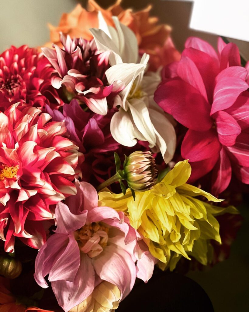 samantha birthday date
samantha birthday age
samantha ruth prabhu birthday wishes
samantha birthday celebration photos
rakul preet singh samantha birthday wish
nayanthara wish for samantha birthday
samantha birthday news
samantha ruth prabhu age and biography
samantha upcoming movies 2026
samantha health myositis update
samantha and naga chaitanya relationship
samantha net worth 2026
samantha popular movies list
samantha inspirational quotes
samantha latest news today
Samantha Ruth Prabhu biography
Samantha ruth prabhu Instagram
Samantha Ruth Prabhu Movies
Samantha Ruth Prabhu new Movie
Samantha Ruth Prabhu husband
Samantha Ruth Prabhu height
Samantha Ruth Prabhu photos
Samantha Ruth Prabhu age
samantha
samantha birthday