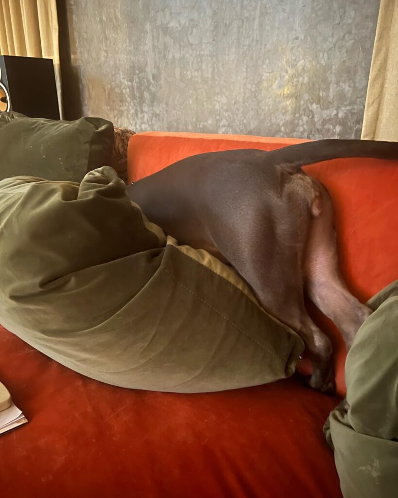 samantha birthday date
samantha birthday age
samantha ruth prabhu birthday wishes
samantha birthday celebration photos
rakul preet singh samantha birthday wish
nayanthara wish for samantha birthday
samantha birthday news
samantha ruth prabhu age and biography
samantha upcoming movies 2026
samantha health myositis update
samantha and naga chaitanya relationship
samantha net worth 2026
samantha popular movies list
samantha inspirational quotes
samantha latest news today
Samantha Ruth Prabhu biography
Samantha ruth prabhu Instagram
Samantha Ruth Prabhu Movies
Samantha Ruth Prabhu new Movie
Samantha Ruth Prabhu husband
Samantha Ruth Prabhu height
Samantha Ruth Prabhu photos
Samantha Ruth Prabhu age
samantha
samantha birthday