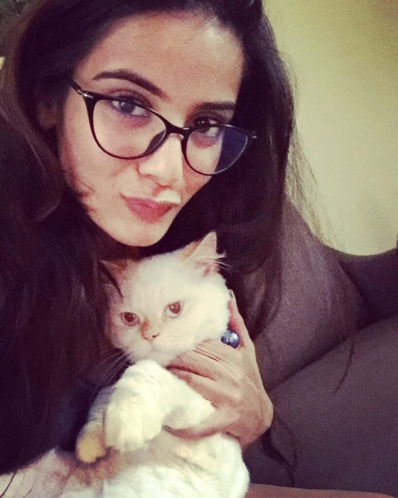 Nikki Sharma and Ranveer Allahbadia
Juhi Bhatt Ranveer Allahbadia
Nikki Sharma instagram
Ranveer Allahbadia age
Ranveer Allahbadia biography
Ranveer Allahbadia marriage
Ranveer Allahbadia movies
Ranveer Allahbadia wiki
Ranveer Allahbadia gf
Ranveer Allahbadia wife
Ranveer Allahbadia net worthJuhi Bhatt Age
Juhi Bhatt instagram
Juhi bhatt biography
Juhi Bhatt movies
Tv shows with Juhi Bhatt
Juhi Bhatt Ranveer Allahbadia
Juhi Bhatt husband
Nikki Sharma
Nikki Sharma age
Nikki Sharma boyfriend
Nikki Sharma Ranveer Allahbadia relationship
Nikki Sharma Instagram
Nikki Sharma biography
Nikki Sharma TV shows list
Nikki Sharma net worth
Nikki Sharma family details
Nikki Sharma Sasural Simar Ka role
Nikki Sharma Shiv Shakti actress
Ranveer Allahbadia Juhi Bhatt relationship
Juhi Bhatt biography
Nikki Sharma breakup news
Nikki Sharma latest news
Nikki Sharma trending