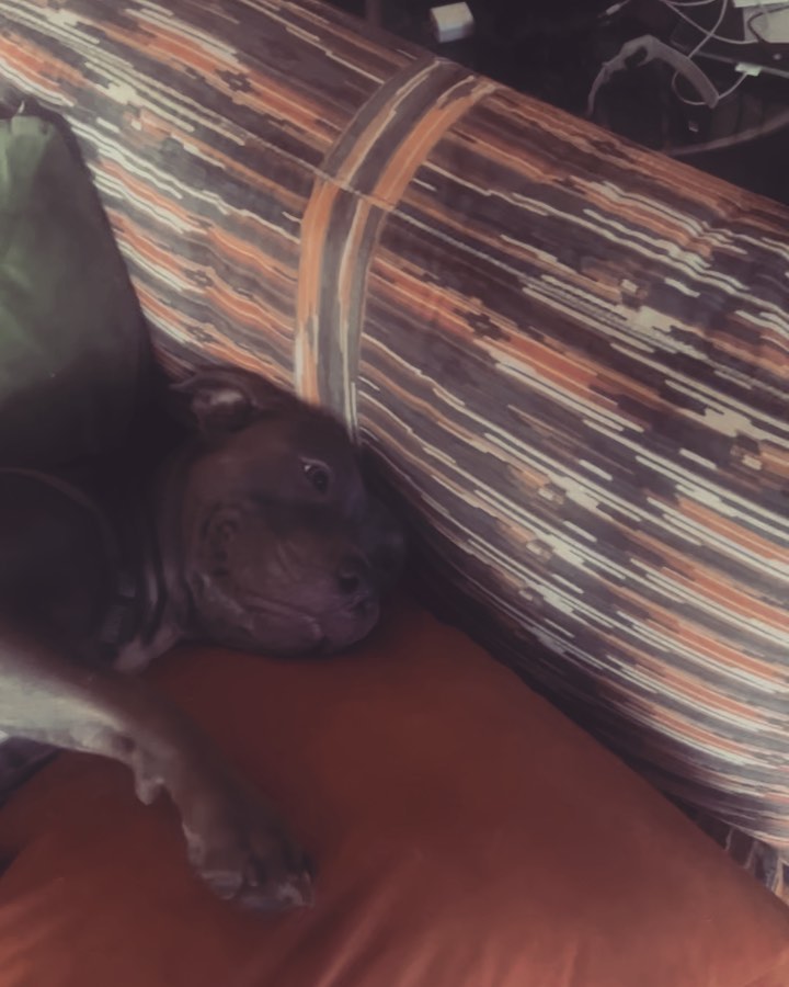 samantha birthday date
samantha birthday age
samantha ruth prabhu birthday wishes
samantha birthday celebration photos
rakul preet singh samantha birthday wish
nayanthara wish for samantha birthday
samantha birthday news
samantha ruth prabhu age and biography
samantha upcoming movies 2026
samantha health myositis update
samantha and naga chaitanya relationship
samantha net worth 2026
samantha popular movies list
samantha inspirational quotes
samantha latest news today
Samantha Ruth Prabhu biography
Samantha ruth prabhu Instagram
Samantha Ruth Prabhu Movies
Samantha Ruth Prabhu new Movie
Samantha Ruth Prabhu husband
Samantha Ruth Prabhu height
Samantha Ruth Prabhu photos
Samantha Ruth Prabhu age
samantha
samantha birthday