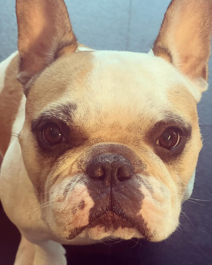 samantha birthday date
samantha birthday age
samantha ruth prabhu birthday wishes
samantha birthday celebration photos
rakul preet singh samantha birthday wish
nayanthara wish for samantha birthday
samantha birthday news
samantha ruth prabhu age and biography
samantha upcoming movies 2026
samantha health myositis update
samantha and naga chaitanya relationship
samantha net worth 2026
samantha popular movies list
samantha inspirational quotes
samantha latest news today
Samantha Ruth Prabhu biography
Samantha ruth prabhu Instagram
Samantha Ruth Prabhu Movies
Samantha Ruth Prabhu new Movie
Samantha Ruth Prabhu husband
Samantha Ruth Prabhu height
Samantha Ruth Prabhu photos
Samantha Ruth Prabhu age
samantha
samantha birthday