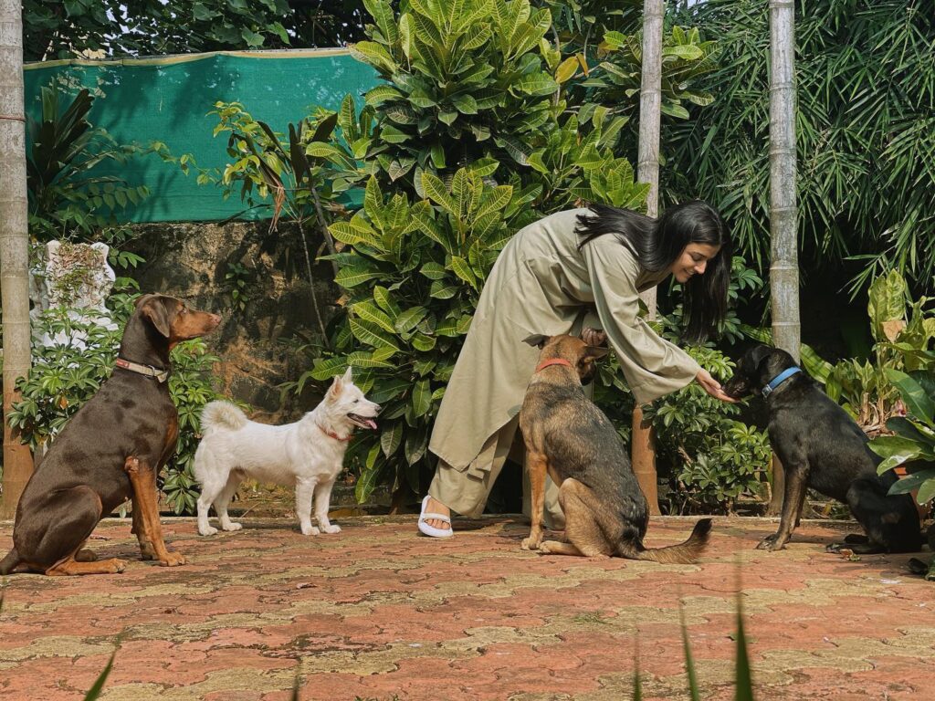 Wamiqa Gabbi web series list
Wamiqa Gabbi Husband name
Wamiqa Gabbi real name
Wamiqa Gabbi series Netflix
Wamiqa Gabbi is Hindu
Is Wamiqa Gabbi married
Wamiqa Gabbi instagram
Wamiqa Gabbi relationship
Wamiqa Gabbi age
Wamiqa Gabbi biography
Wamiqa Gabbi instagram
Wamiqa Gabbi marriage
Wamiqa Gabbi movies
Wamiqa Gabbi movies and TV shows
Wamiqa Gabbi husband
Wamiqa Gabbi series
Bhoot bangla 2026 songs
Bhoot bangla cast
Bhoot bangla trailer
Bhoot Bangla release date
Bhoot bangla budget
Bhoot bangla wiki
Bhoot Bangla movie
Bhoot bangla director
Bhoot Bangla Wamiqa Gabbi
Wamiqa Gabbi age and biography
Wamiqa Gabbi boyfriend name
Bhoot Bangla trailer Akshay Kumar Wamiqa Gabbi
Wamiqa Gabbi movies list
Wamiqa Gabbi height weight and size
Bhoot Bangla release date 2026
Wamiqa Gabbi latest photos viral
Wamiqa Gabbi family details
Wamiqa Gabbi upcoming movies 2026