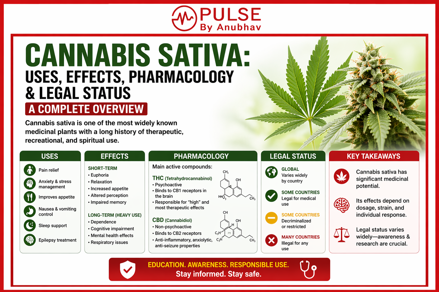 Cannabis sativa side effects Cannabis sativa Common name Is Cannabis sativa a drug Cannabis uses Cannabis sativa family Sativa leaf uses Medical use of cannabinoids Cannabis sativa Q Cannabis sativa uses Cannabis sativa pharmacology Cannabis sativa medical uses Cannabis sativa mechanism of action Cannabis sativa preparations Cannabis sativa side effects Cannabis sativa drug classification Cannabis sativa legal status in India Cannabis sativa CBD vs THC Best Cannabis sativa medicines
