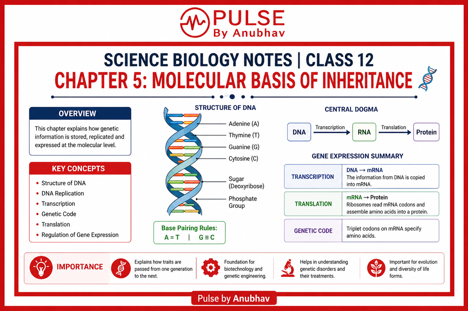 Class 12 Biology Chapter 5 Molecular Basis of Inheritance short notes Class 12 Biology chapter 5 Molecular Basis of Inheritance Notes PDF Molecular Basis of Inheritance short Notes PDF download Molecular basis of Inheritance Class 12 Handwritten notes Molecular Basis of Inheritance Class 12 notes self study Molecular Basis of Inheritance Class 12 notes PW Molecular Basis of Inheritance Class 12 NCERT PDF Molecular basis of Inheritance Class 12 notes rajkumar biology Class 12 Molecular Basis of Inheritance notes Molecular Basis of Inheritance Class 12 NCERT PDF Molecular Basis of Inheritance Class 12 PDF Molecular Basis of Inheritance Class 12 NCERT Solutions Molecular Basis of Inheritance Class 12 short notes PDF Principles of inheritance and Variation NCERT PDF Molecular basis of inheritance NCERT Molecular Basis of Inheritance short Notes PDF download Molecular Basis of Inheritance Notes Molecular Basis of Inheritance PDF Molecular Basis of Inheritance NCERT PDF Molecular basis of inheritance Class 12 Molecular basis of inheritance ppt Molecular Basis of Inheritance MCQ Molecular Basis of Inheritance NCERT PDF Notes Molecular basis of inheritance bank of biology