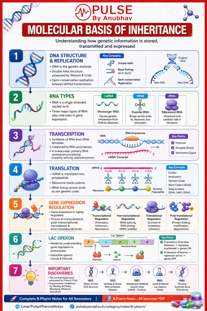 Class 12 Biology Chapter 5 Molecular Basis of Inheritance short notes
Class 12 Biology chapter 5 Molecular Basis of Inheritance Notes PDF
Molecular Basis of Inheritance short Notes PDF download
Molecular basis of Inheritance Class 12 Handwritten notes
Molecular Basis of Inheritance Class 12 notes self study
Molecular Basis of Inheritance Class 12 notes PW
Molecular Basis of Inheritance Class 12 NCERT PDF
Molecular basis of Inheritance Class 12 notes rajkumar biology
Class 12 Molecular Basis of Inheritance notes
Molecular Basis of Inheritance Class 12 NCERT PDF
Molecular Basis of Inheritance Class 12 PDF
Molecular Basis of Inheritance Class 12 NCERT Solutions
Molecular Basis of Inheritance Class 12 short notes PDF
Principles of inheritance and Variation NCERT PDF
Molecular basis of inheritance NCERT
Molecular Basis of Inheritance short Notes PDF downloadMolecular Basis of Inheritance Notes
Molecular Basis of Inheritance PDF
Molecular Basis of Inheritance NCERT PDF
Molecular basis of inheritance Class 12
Molecular basis of inheritance ppt
Molecular Basis of Inheritance MCQ
Molecular Basis of Inheritance NCERT PDF Notes
Molecular basis of inheritance bank of biology