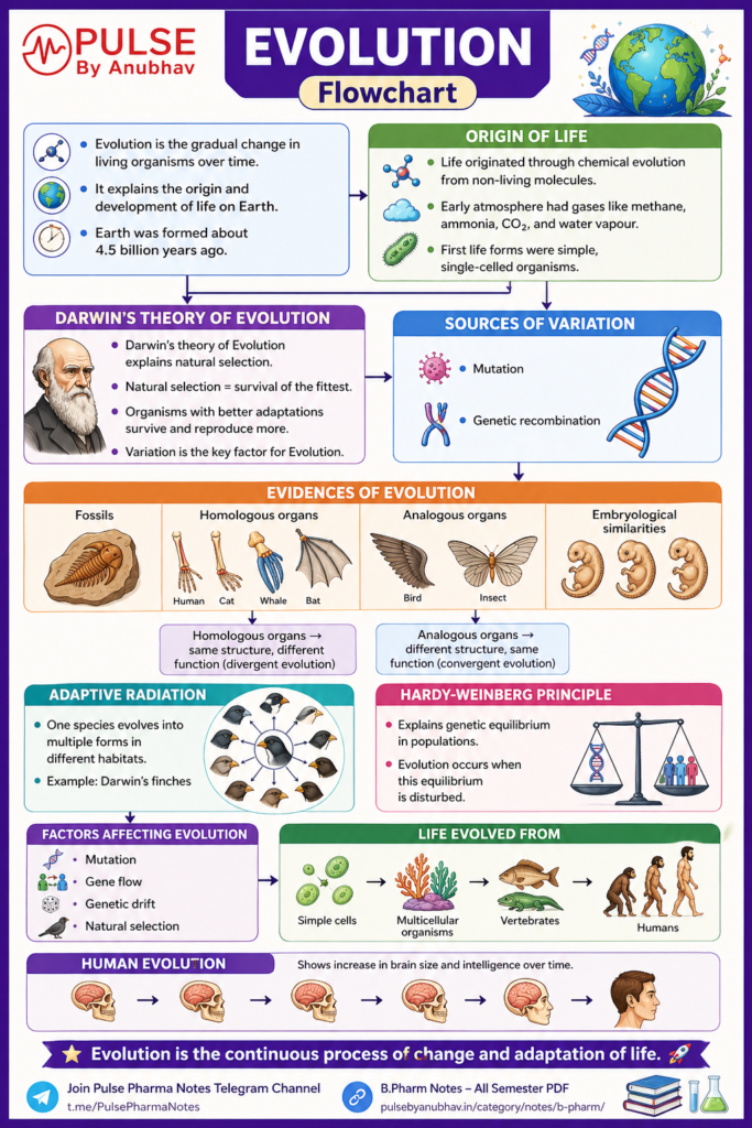 Science biology notes class 12 chapter 6 evolution pdf
Science biology notes class 12 chapter 6 evolution pdf free download
Science biology notes class 12 chapter 6 evolution pdf download
Science biology notes class 12 chapter 6 evolution notes pdf
Class 12 Biology chapter 6 Evolution Notes
Class 12 Biology Chapter 6 Evolution Notes PDF
Science biology notes class 12 chapter 6 evolution handwritten
Evolution chapter Class 12 Notes self study
Class 12 chapter 6 evolution notes
Class 12 chapter 6 evolution pdf
Class 12 chapter 6 evolution notes pdf
Evolution chapter Class 12 NCERT PDF in English
Class 12 Biology Chapter 6 Evolution question answer
Evolution chapter Class 12 Notes self study
Evolution Chapter Class 12 NCERT PDF questions and answers
Evolution Class 12 NCERT PDF
Class 12 evolution notes
Class 12 evolution pdf
Class 12 evolution notes pdf
Evolution Class 12 NCERT
Evolution chapter Class 12 NCERT PDF in English
Class 12 Evolution Notes board study
Evolution Class 12 questions and answers
Mechanism of evolution class 12
