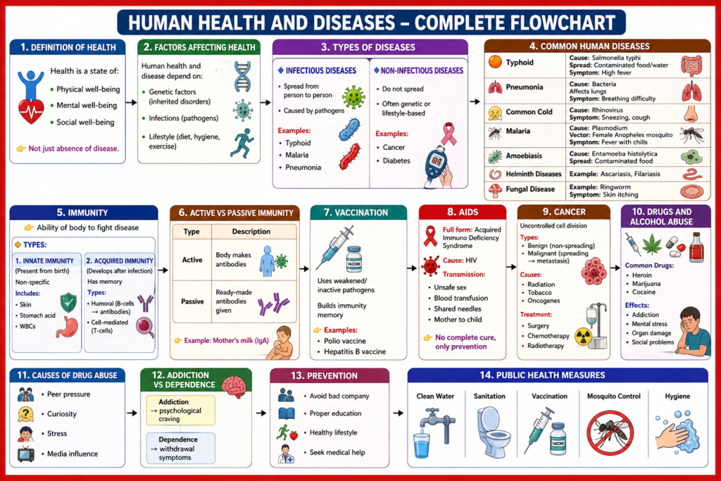 Class 12 Biology Human Health and Disease Handwritten Notes
Human Health and Disease Class 12 short notes PDF
Human Health and Disease Handwritten notes PDF
Notes of Chapter 7 Biology Class 12 Human Health and Disease
Class 12 Biology Chapter 7 Human Health and Disease question answer
Class 12 Biology Human Health and Disease NCERT PDF
Human Health and Disease Class 12 PDF
Human Health and Disease Class 12 NCERT
Class 12 chapter 7 human health and disease notes
Class 12 chapter 7 human health and disease pdf
Class 12 Biology ch 7 Human Health and Disease ncert
Class 12 Biology Chapter 7 Human Health and disease NCERT Solutions
Class 12 chapter 7 human health and disease solutions
Class 12 chapter 7 human health and disease notes pdf
Class 12 Biology Human Health and Disease NCERT PDF
Class 12 Biology Human Health and Disease NCERT SolutionsChapter 7 human health and disease pdf
Chapter 7 human health and disease notes
Class 12th chapter 7 human health and disease question answer
Chapter 7 human health and disease notes pdf
Class 12th biology chapter 7 human health and disease exercise question
Chapter 7 human health and disease ncert solutions
Human Health and Disease NCERT PDF notes
Class 12 biology chapter 7 human health and disease ncert
