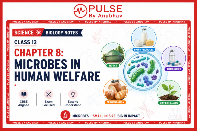 Science Biology Notes | Class 12 – Chapter 8: Microbes In Human Welfare ...