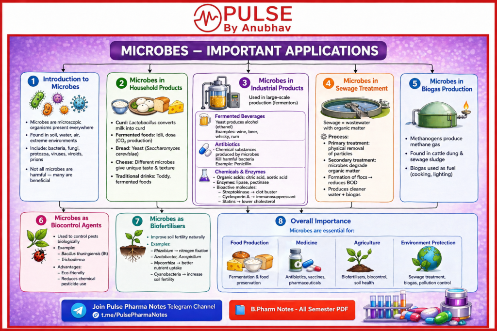 Class 12 Biology Microbes in human Welfare Notes
Class 12 Biology microbes in Human Welfare Handwritten Notes
Microbes in Human Welfare Notes PDF download
Microbes in Human Welfare Class 12 notes self study
Class 12 Biology Microbes in human Welfare NCERT PDF
Microbes in human Welfare Class 12 questions and answers
Microbes in human welfare Class 12 NCERT
Microbes in human Welfare Class 12 important questionsClass 12 chapter 8 microbes in human welfare notes
Class 12 chapter 8 microbes in human welfare pdf
Class 12 chapter 8 microbes in human welfare solutions
Class 12 Biology Chapter 8 microbes in Human Welfare NCERT Solutions
Microbes in Human Welfare Notes PDF
Microbes in Human Welfare Class 12 Handwritten Notes
Microbes in human Welfare Class 12 important questions
Microbes in Human Welfare Class 12 notes self studyClass 12 microbes in human welfare notes
Class 12 microbes in human welfare pdf
Class 12 microbes in human welfare notes pdf
Microbes in human Welfare Class 12 questions and answers
Microbes in human welfare Class 12 NCERT
Class 12 Microbes in Human Welfare MCQ
Microbes in Human Welfare Class 12 Handwritten Notes
Class 12 Microbes in human welfare ppt