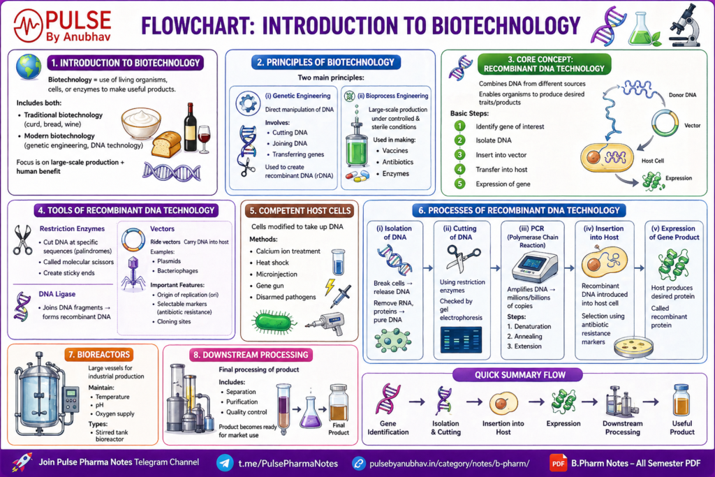 Class 12th Biology Chapter 9 Biotechnology Principles and Processes Notes
Biotechnology Principles and Processes Class 12 short notes PDF
Class 12 Biotechnology Principles and Processes Handwritten Notes
Biotechnology Principles and Processes Handwritten Notes PDF
Class 12 Biology Biotechnology Principles and Processes NCERT PDF
Biotechnology Principles and Processes Class 12 Notes self study
Class 12 Biotechnology Principles and processes pdf
Biotechnology Principles and Processes Class 12 Notes Scribd
Class 12 chapter 9 biotechnology principles and processes notes
Class 12 chapter 9 biotechnology principles and processes solutions
Class 12 Biotechnology Principles and Processes NCERT PDF
Class 12 Biotechnology Principles and processes NCERT Solutions
Class 12 chapter 9 biotechnology principles and processes questions
Class 12 Biotechnology Principles and Processes Notes PDF
Class 12 chapter 9 biotechnology principles and processes answers
Class 12 Biotechnology Principles and processes pdf
Class 12 biotechnology principles and processes notes
Class 12 biotechnology principles and processes mcq
Class 12 biotechnology principles and processes pdf
Class 12 biotechnology principles and processes bank of biology
Class 12 Biotechnology Principles and Processes Handwritten Notes
Class 12 Biotechnology Principles and processes NCERT Solutions
Class 12th Biotechnology Principles and Processes NCERT PDF
Class 12 Biotechnology Principles and Processes NCERT PDF Notes
