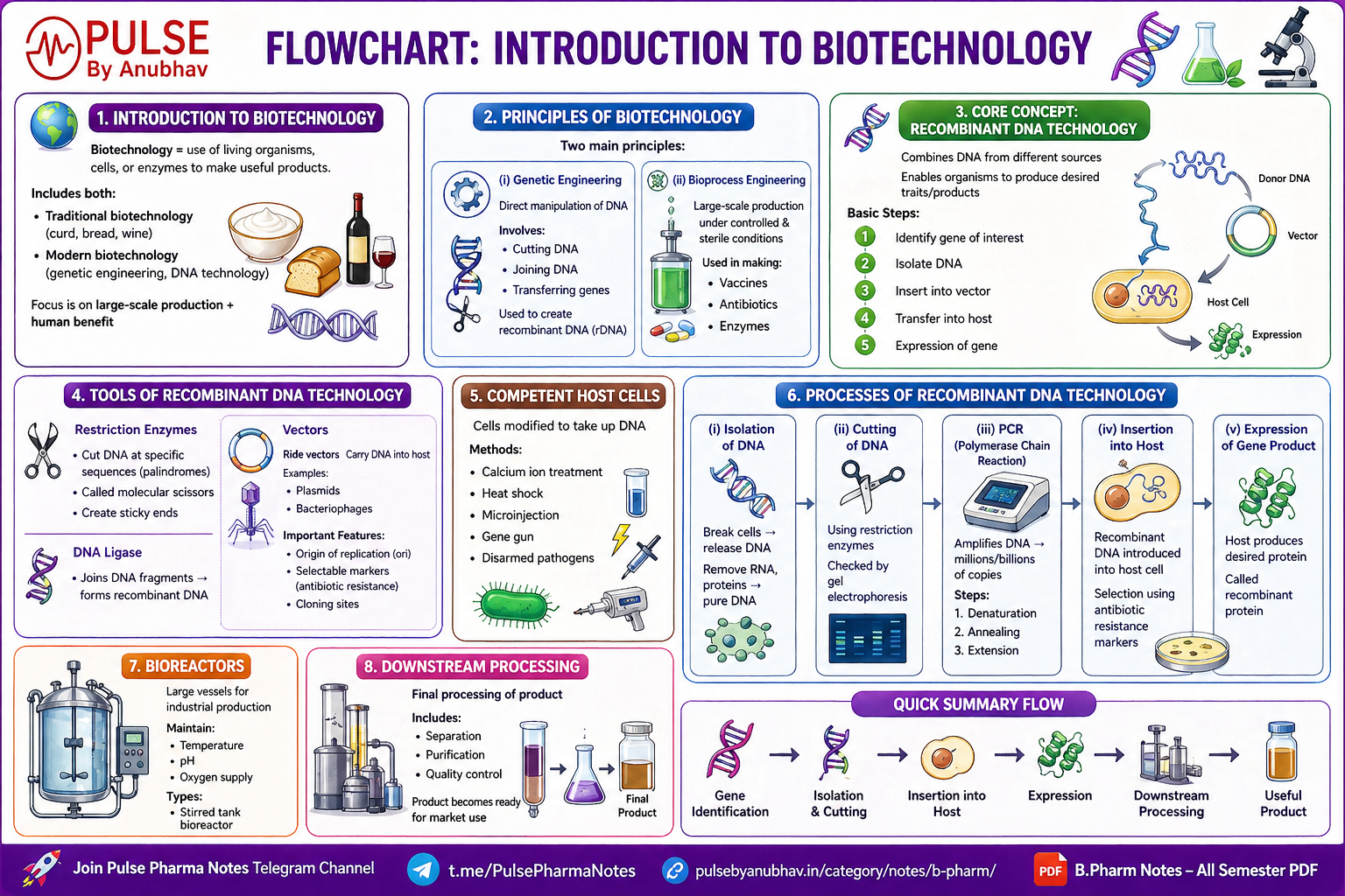 Science Biology Notes | Class 12 – Chapter 9: Biotechnology ...