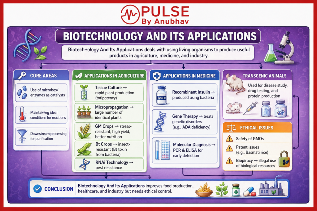 Class 12 Biology Chapter 10 Biotechnology and its application notes
Class 12 Biology chapter Biotechnology and its Applications Handwritten notes
Class 12th Biotechnology and its application notes PDF
Class 12 Biotechnology and its applications NCERT PDF
Class 12 biology chapter biotechnology and its applications pdf
Biotechnology and its application notes PDF free download
Biotechnology and its application Handwritten notes PDF
Biotechnology and Its Applications Class 12 notes self study
Class 12 chapter 10 biotechnology and its applications notes
Class 12 chapter 10 biotechnology and its applications pdf
Class 12 chapter 10 biotechnology and its applications pdf download
Class 12 Biotechnology and its applications NCERT PDF
Class 12 Biotechnology and its Applications NCERT Solutions
Class 12 chapter 10 biotechnology and its applications notes pdf
Project File on biotechnology and its applications PDF Class 12
Biotechnology and its Applications NCERT PDF 2026
Class 12 biotechnology and Its Applications PDF
Class 12 biotechnology and its applications notes
Class 12 Biotechnology and its Applications NCERT Solutions
Class 12 Biotechnology Principles and Processes NCERT PDF
Class 12 biotechnology and its applications bank of biology
Class 12 Biotechnology and its Applications Important Questions
Class 12 biotechnology and its applications pdf download
Class 12 biotechnology and its applications notes pdf