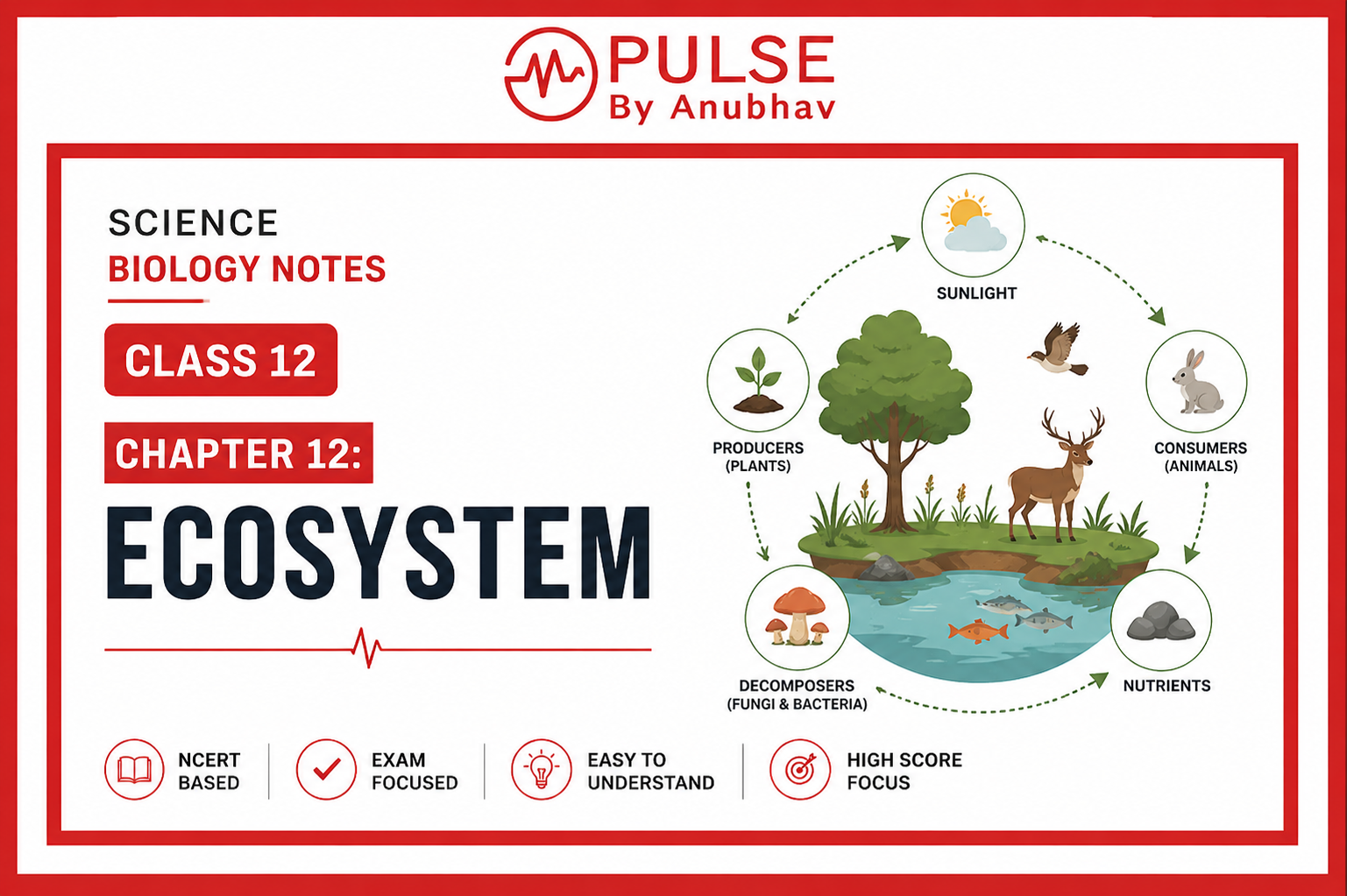 Science biology notes class 12 chapter 12 ecosystem ppt Science biology notes class 12 chapter 12 ecosystem pdf Science biology notes class 12 chapter 12 ecosystem pdf download Science biology notes class 12 chapter 12 ecosystem pdf free Class 12 Biology Chapter 12 Ecosystem Notes Science biology notes class 12 chapter 12 ecosystem handwritten Class 12 Biology Ecosystem Notes PDF Ecosystem Class 12 Handwritten Notes Class 12 chapter 12 ecosystem pdf Class 12 chapter 12 ecosystem notes Class 12 Ecosystem NCERT Pdf Class 12 chapter 12 ecosystem notes pdf Ecosystem Class 12 NCERT Ecosystem Class 12 NCERT PDF Notes Ecology chapters Class 12 Ecosystem Class 12 Handwritten Notes Cbse class 12 ecosystem solutions Class 12 ecosystem pdf Class 12 ecosystem notes Class 12 ecosystem notes pdf Ecosystem Class 12 NCERT Ecosystem Class 12 NCERT Solutions Class 12 Ecosystem PPT Ecosystem Class 12 Handwritten Notes