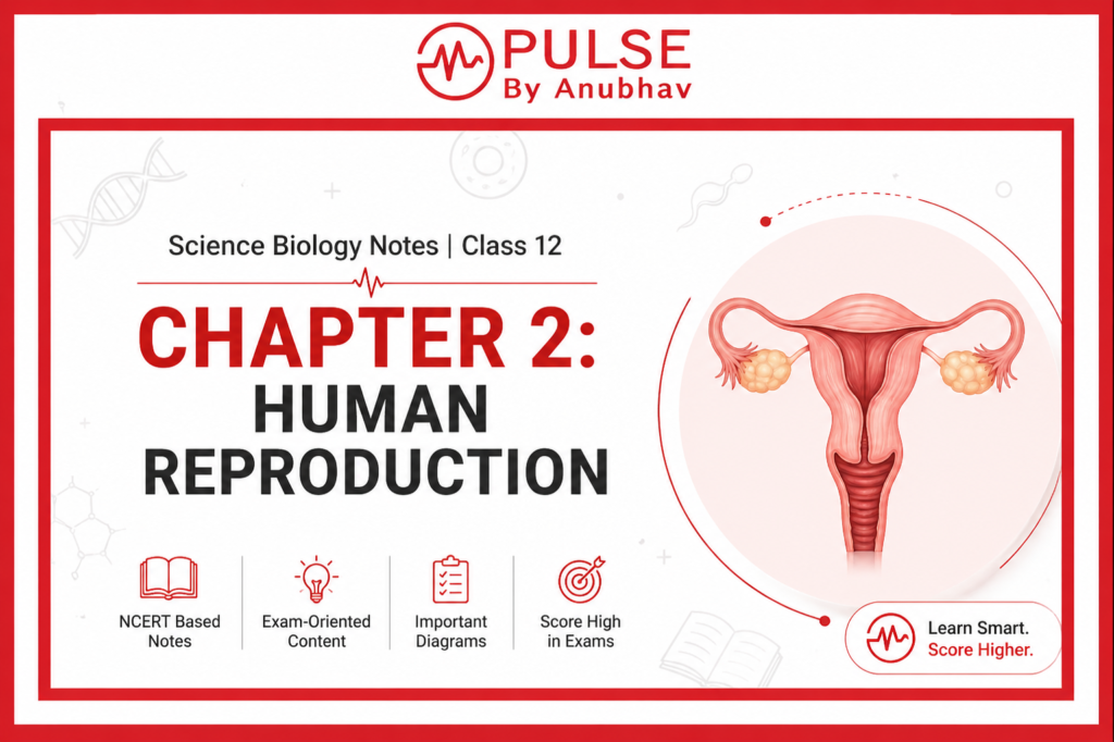 Science biology notes class 12 chapter 2 human reproduction pdf
Science biology notes class 12 chapter 2 human reproduction handwritten
Class 12 Biology Chapter 2 Human Reproduction notes PDF
Class 12th Biology Chapter 2 Human Reproduction Notes
Class 12 Biology Chapter 2 Human Reproduction PDF
Human Reproduction Class 12 Handwritten Notes
Human Reproduction Class 12 Notes Self study
Class 12 Biology Chapter 2 Human reproduction exercise Solutions
Class 12 chapter 2 human reproduction notes
Class 12 chapter 2 human reproduction pdf
Class 12 chapter 2 human reproduction notes pdf
Reproduction in humans Class 12 NCERT PDF Notes
Human Reproduction Class 12 NCERT Solutions
Human Reproduction Class 12 questions and answers
Project file on human reproduction class 12
Human Reproduction Class 12 MCQ
Human Reproduction Class 12 NCERT PDF
Class 12 human reproduction notes
Class 12 human reproduction pdf
Class 12 Human Reproduction NCERT
Class 12 human reproduction notes pdf
Class 12 Human Reproduction NCERT Solutions
Class 12 Human Reproduction MCQ
Human Reproduction Class 12 questions and answers

