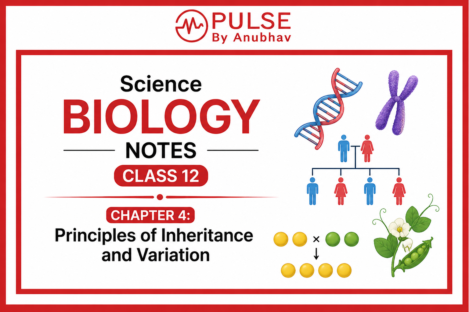 Class 12 Biology Chapter 4 Principles of Inheritance and Variation handwritten notes Principles of inheritance and Variation NCERT PDF Class 12 Principles of Inheritance and Variation notes PDF Class 12 Biology Chapter 4 Principles of inheritance and Variation Notes Principles of Inheritance and Variation handwritten notes PDF Class 12 Principles of Inheritance and Variation pdf Inheritance and Variation Class 12 short notes PDF Principles of Inheritance and Variation Class 12 notes by topper Class 12 chapter 4 principles of inheritance and variation notes Principles of inheritance and Variation NCERT PDF Class 12 chapter 4 principles of inheritance and variation questions Class 12 Principles of Inheritance and Variation notes PDF Class 12 chapter 4 principles of inheritance and variation solutions Principles of Inheritance and Variation NEET PYQ Principles of inheritance PDF Inheritance and Variation Class 12 pdf Principles of inheritance and variation notes Principles of inheritance and variation pdf Principles of inheritance and variation class 12 Principles of inheritance and variation notes pdf Principles of inheritance and Variation NCERT PDF Principles of Inheritance and Variation NEET PYQ Principles of Inheritance and Variation PYQ Principles of Inheritance and Variation MCQ