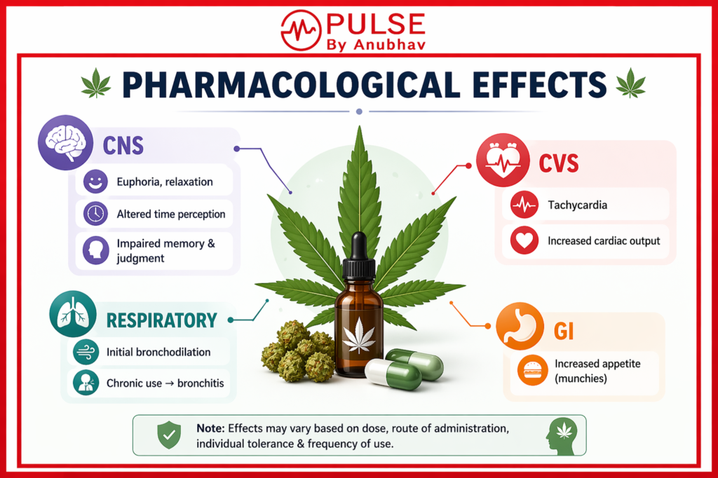 Cannabis sativa side effects
Cannabis sativa Common name
Is Cannabis sativa a drug
Cannabis uses
Cannabis sativa family
Sativa leaf uses
Medical use of cannabinoids
Cannabis sativa Q
Cannabis sativa uses
Cannabis sativa pharmacology
Cannabis sativa medical uses
Cannabis sativa mechanism of action
Cannabis sativa preparations
Cannabis sativa side effects
Cannabis sativa drug classification
Cannabis sativa legal status in India
Cannabis sativa CBD vs THC
Best Cannabis sativa medicines