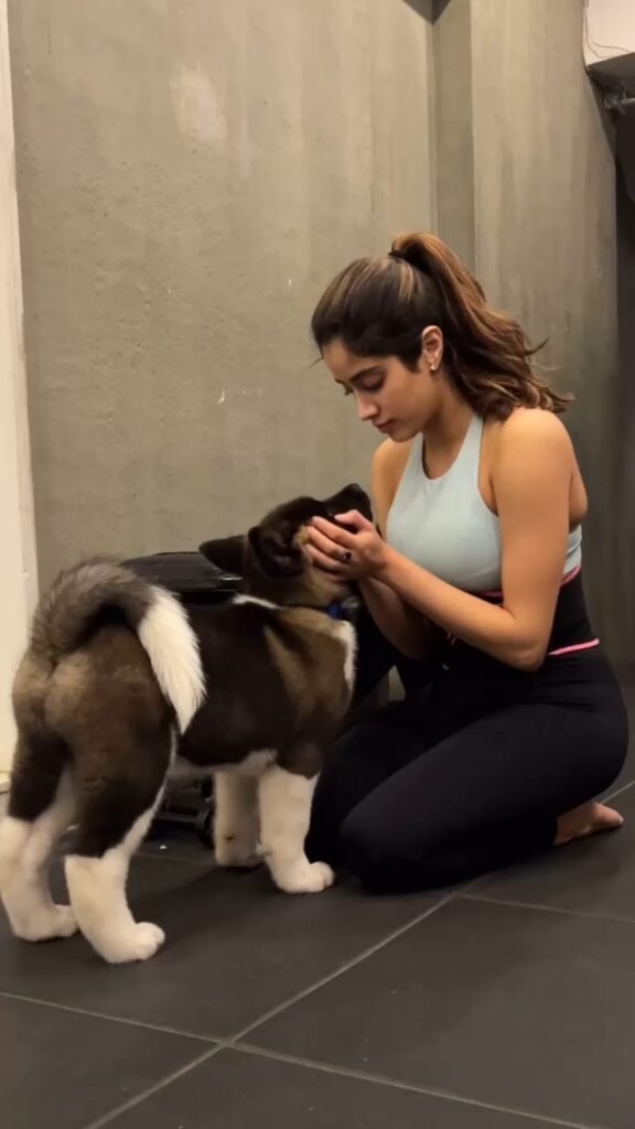 Janhvi Kapoor boy friend
Janhvi Kapoor Weight and height
Janhvi Kapoor age date of birth
Janhvi Kapoor height in cm
Janhvi kapoor age mother
Janhvi Kapoor Weight in kg
Janhvi Kapoor Age Height Weight
Janhvi Kapoor husband
Janhvi Kapoor Instagram
Janhvi Kapoor movies
Janhvi Kapoor new movie
Janhvi Kapoor songs
Janhvi Kapoor age
Janhvi Kapoor mother
Janhvi Kapoor husband
Janhvi Kapoor height
Janhvi Kapoor Peddi Movie
Janhvi Kapoor Peddi Trailer
Ram Charan Peddi Movie
Janhvi Kapoor Boyfriend
Shikhar Pahariya Janhvi Kapoor
Janhvi Kapoor Age and Height
Janhvi Kapoor Biography
Peddi Release Date
Janhvi Kapoor Upcoming Movies
Why Khushi Kapoor Rejected Peddi
Janhvi Kapoor Bold Role In Peddi
Ram Charan And Janhvi Kapoor Movie
Peddi Movie Cast
Janhvi Kapoor Net Worth
Peddi AR Rahman Music