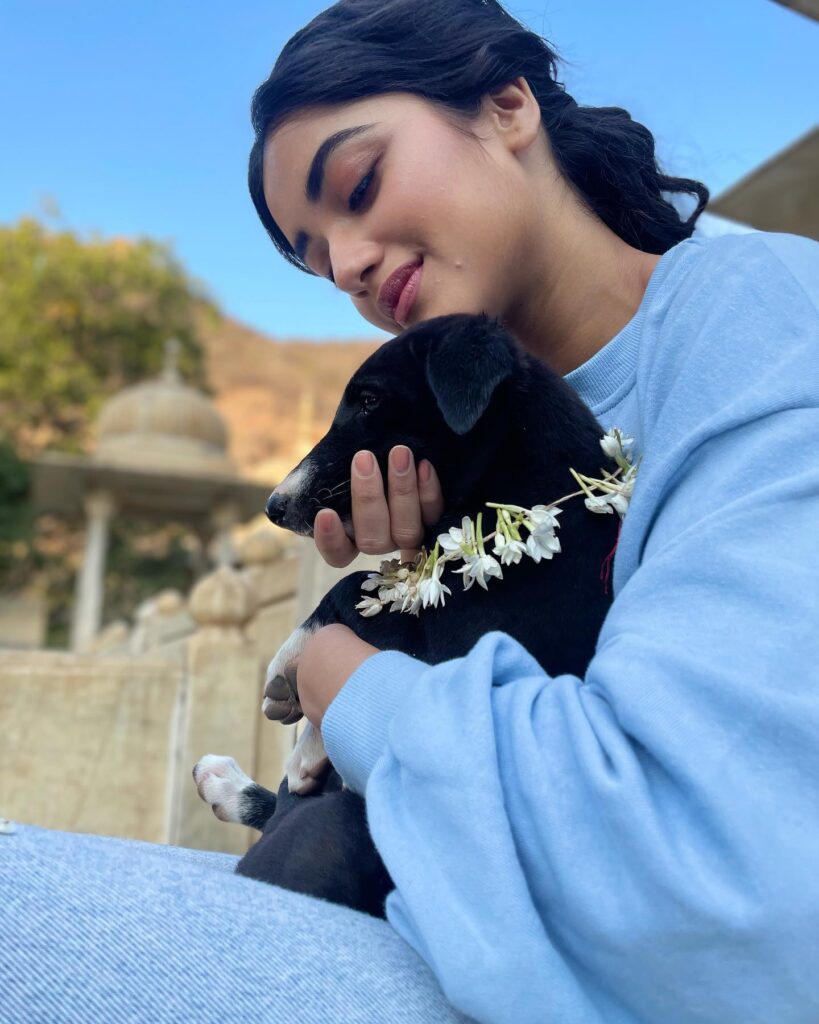 Bhagyashri Borse husband
Bhagyashri Borse Date of Birth
Bhagyashri Borse net worth
Bhagyashri Borse relationship
Bhagyashri Borse kiss
Bhagyashri Borse married or not
Bhagyashri Borse parents
Bhagyashri Borse family
Bhagyashri Borse biography
Bhagyashri Borse Instagram
Bhagyashri Borse married or not
Bhagyashri Borse movies
Bhagyashri Borse songs
Bhagyashri Borse age
Bhagyashri Borse husband
Bhagyashri Borse net worth
Bhagyashri Borse biography
Bhagyashri Borse age and height
Bhagyashri Borse movies list
Bhagyashri Borse Seyon movie
Bhagyashri Borse Sivakarthikeyan film
Bhagyashri Borse Mr Bachchan actress
Bhagyashri Borse family details
Bhagyashri Borse net worth
Bhagyashri Borse debut movie
Bhagyashri Borse upcoming movies
Bhagyashri Borse photos and Instagram
Bhagyashri Borse Kollywood debut