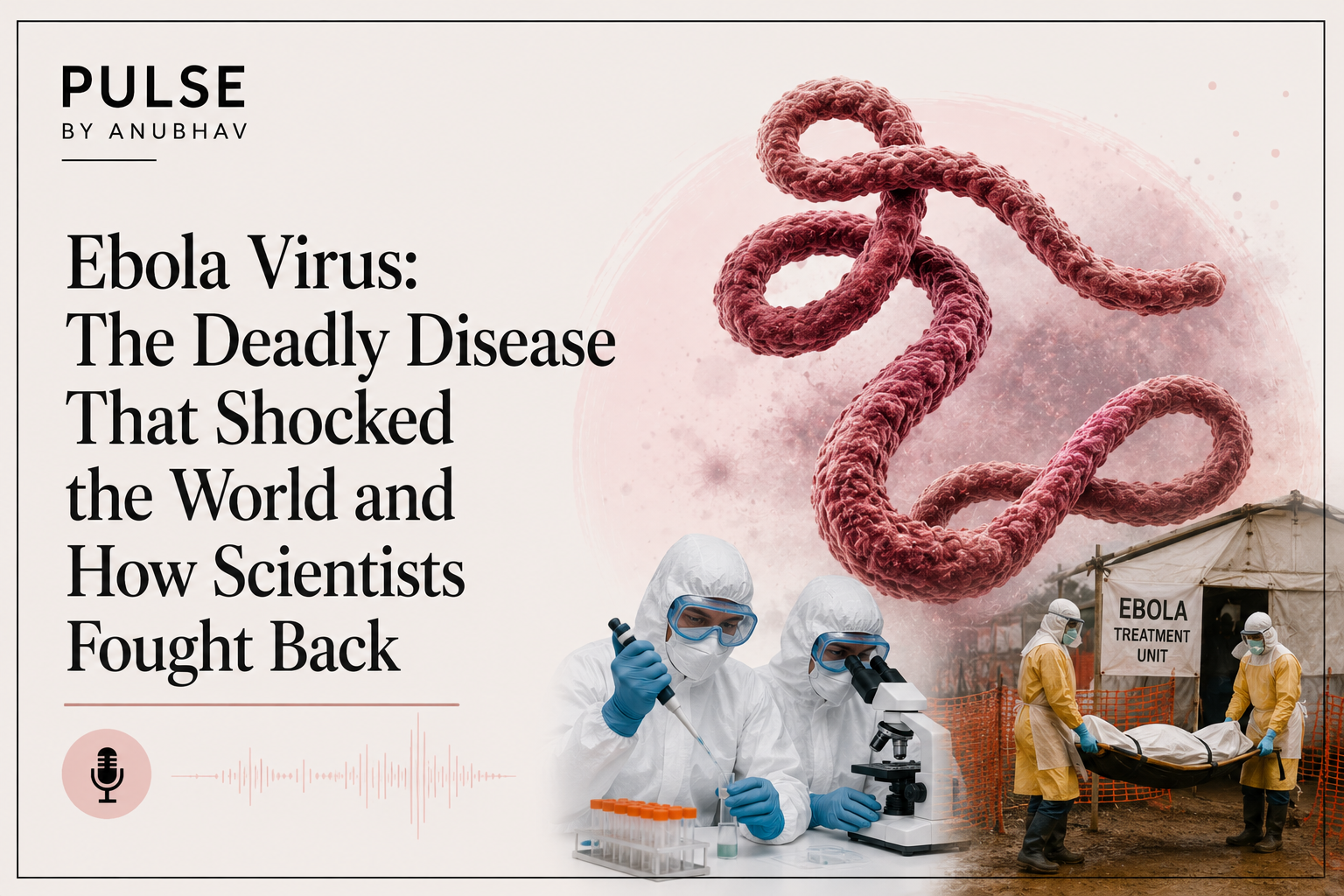 Ebola symptoms How is Ebola transmitted Ebola virus disease Zaire ebolavirus Ebola vaccine Ebola treatment Why is Ebola so deadly Ebola outbreak 2014 Ebola Virus Symptoms and Treatment What Is Ebola Virus Disease (EVD)? How Does Ebola Virus Spread? Ebola Virus Causes and Risk Factors Ebola Virus Vaccine Explained Ebola Virus vs Marburg Virus Can Ebola Virus Be Cured? Ebola Virus Survival Rate and Mortality Rate Ebola Virus Outbreak History Timeline Ebola Virus Prevention Tips Early Signs of Ebola Virus Infection Ebola Virus Diagnosis and Testing Ebola Virus in Africa: Major Outbreaks Explained Long-Term Effects in Ebola Survivors Ebola Virus Facts You Should Know Ebola Virus vs COVID-19 Comparison Best Treatment Options for Ebola Virus Who Is Most at Risk of Ebola Virus? Ebola Virus Myths vs Facts How Scientists Control Ebola Outbreaks