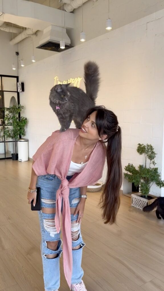 Iryna Kinakh Desi Bling
Who is Iryna Kinakh?
Iryna Kinakh biography
Iryna Kinakh age
Iryna Kinakh nationality
Iryna Kinakh husband
Iryna Kinakh and Dyuti Parruck
Is Iryna Kinakh still married?
Dyuti Parruck wife
Dyuti Parruck and Iryna Kinakh relationship
Iryna Kinakh net worth
Iryna Kinakh businesses
Iryna Kinakh Unique U
Iryna Kinakh IKON Activewear
Iryna Kinakh children
Iryna Kinakh family
Iryna Kinakh Instagram
Iryna Kinakh Mrs Universe 2024
Desi Bling cast
Desi Bling Netflix cast
Desi Bling release date
Desi Bling episodes
Who is Dyuti Parruck?
Netflix Desi Bling reality show
Dubai Bling vs Desi Bling
Karan Kundrra Desi Bling
Tejasswi Prakash Desi Bling
Rizwan Sajan Desi Bling
Pamela Serena Desi Bling
Pulse by Anubhav Iryna Kinakh update