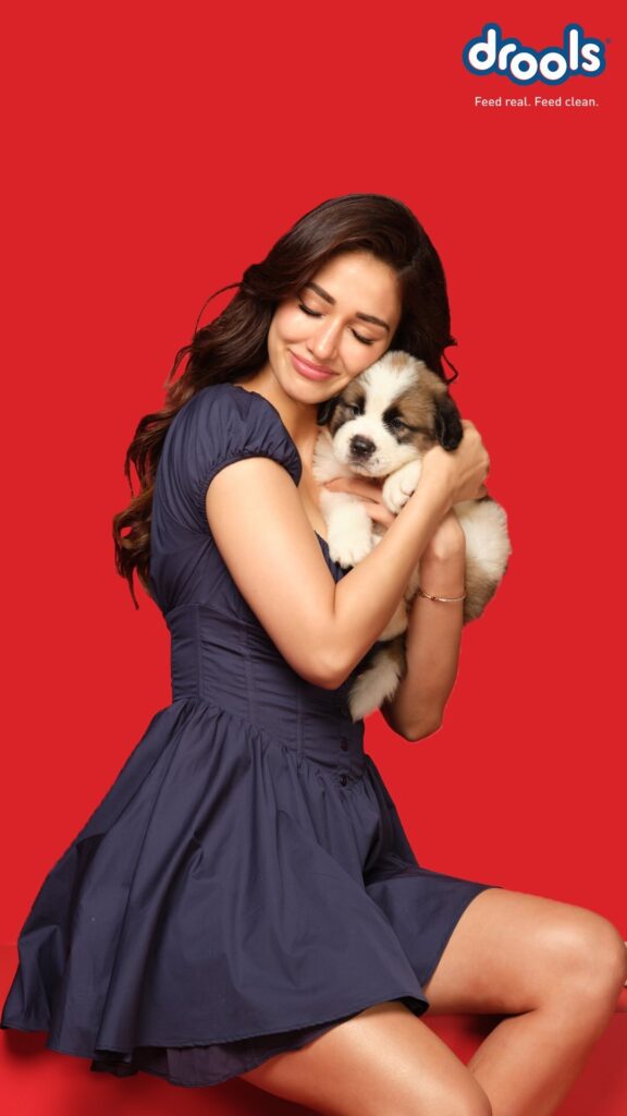 Disha Patani Awarapan 2
Disha Patani Awarapan 2 teaser
Disha Patani Awarapan 2 release date
Disha Patani Awarapan 2 cast
Disha Patani Awarapan 2 trailer
Emraan Hashmi Awarapan 2
Awarapan 2 teaser explained
Awarapan 2 movie release date
Awarapan 2 songs
Awarapan 2 story
Awarapan 2 movie cast
Disha Patani age
Disha Patani height
Disha Patani boyfriend
Disha Patani family
Disha Patani biography
Disha Patani net worth
Disha Patani upcoming movies
Disha Patani filmography
Emraan Hashmi upcoming movies
Shivam Pandit Awarapan 2
Awarapan 2 teaser reaction
Disha Patani latest news
Disha Patani movies list
Awarapan 2 latest updates
Disha Patani role in Awarapan 2
Awarapan 2 trailer release
Vishesh Films Awarapan 2
Nitin Kakkar Awarapan 2
Pulse by Anubhav Entertainment News
