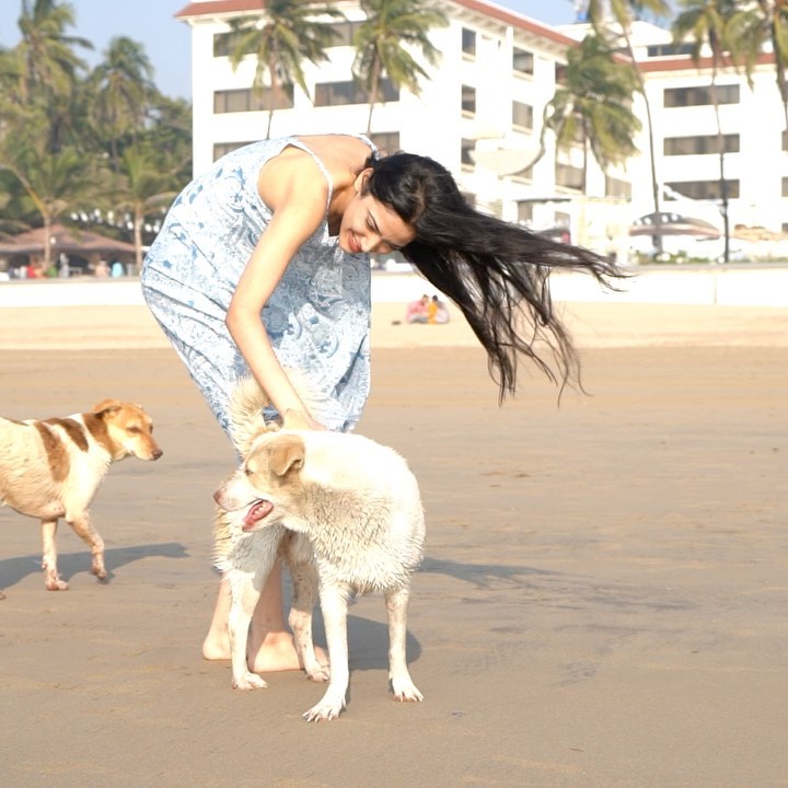 Medha Shankr dating
Medha Shankr boyfriend
Is Medha Shankr dating Samay Raina?
Samay Raina and Medha Shankr relationship
Medha Shankr relationship rumours
Medha Shankr viral video
Samay Raina mystery girl
Medha Shankr age and height
Medha Shankr biography
Medha Shankr family
Medha Shankr movies and TV shows
Medha Shankr songs
Medha Shankr 12th Fail actress
Medha Shankr net worth
Medha Shankr Instagram
Samay Raina latest news
India's Got Latent Season 2
Ginny Wedss Sunny 2 cast
Medha Shankr latest news
Medha Shankr career and biography