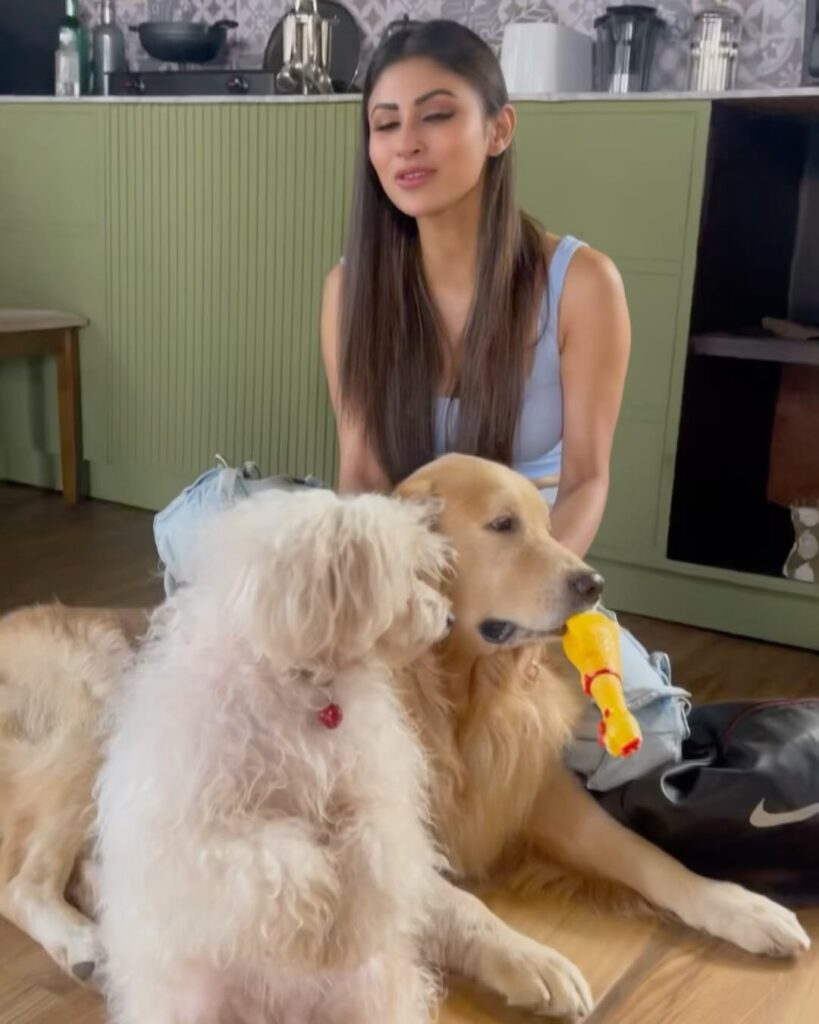 Mouni Roy Ab Hoga Hisaab
Mouni Roy Ab Hoga Hisaab Season 2
Mouni Roy Ab Hoga Hisaab OTT Release Date
Mouni Roy Ab Hoga Hisaab Cast
Mouni Roy Biography
Mouni Roy Age
Mouni Roy Height
Mouni Roy Weight
Mouni Roy Husband
Mouni Roy Suraj Nambiar
Mouni Roy Divorce News
Mouni Roy Relationship Timeline
Mouni Roy Family
Mouni Roy Net Worth
Mouni Roy Movies and TV Shows
Mouni Roy Upcoming Web Series
Mouni Roy Latest News
Mouni Roy Naagin Actress
Mouni Roy Brahmastra Actress
Mouni Roy Gold Movie
Mouni Roy The Bhootnii
Ab Hoga Hisaab Season 2 Cast
Ab Hoga Hisaab Release Date
Ab Hoga Hisaab Amazon MX Player
Ab Hoga Hisaab Trailer
Ab Hoga Hisaab Story
Ab Hoga Hisaab Review
Ab Hoga Hisaab Episodes
Shaheer Sheikh Ab Hoga Hisaab
Sanjay Kapoor Ab Hoga Hisaab