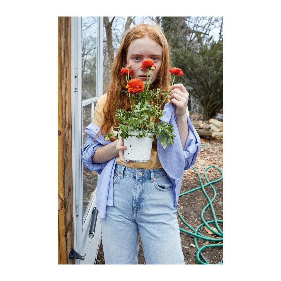 Sadie Sink Biography
Sadie Sink Age
Sadie Sink Height
Sadie Sink Boyfriend
Sadie Sink Family
Sadie Sink Parents
Sadie Sink Net Worth
Sadie Sink Movies and TV Shows
Sadie Sink Stranger Things
Sadie Sink Spider-Man: Brand New Day
Sadie Sink Jean Grey
Sadie Sink Marvel Role
Sadie Sink Character Explained
Spider-Man: Brand New Day Cast
Spider-Man: Brand New Day Release Date
Spider-Man: Brand New Day Review
Spider-Man: Brand New Day Ending Explained
Tom Holland Spider-Man: Brand New Day
Zendaya Spider-Man: Brand New Day
Spider-Man: Brand New Day Red Carpet
Steve Lacy Spider-Man Premiere
Jean Grey MCU
Avengers: Secret Wars Sadie Sink
Sadie Sink Latest News
Pulse by Anubhav Sadie Sink Updates