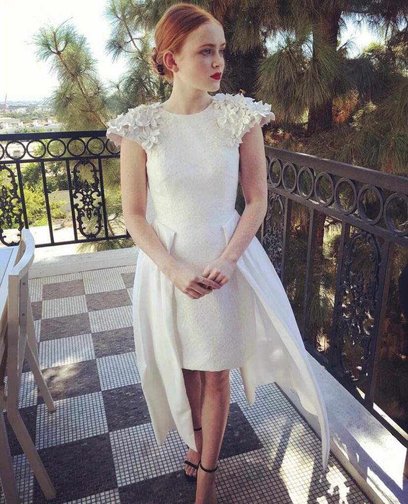 Sadie Sink Biography
Sadie Sink Age
Sadie Sink Height
Sadie Sink Boyfriend
Sadie Sink Family
Sadie Sink Parents
Sadie Sink Net Worth
Sadie Sink Movies and TV Shows
Sadie Sink Stranger Things
Sadie Sink Spider-Man: Brand New Day
Sadie Sink Jean Grey
Sadie Sink Marvel Role
Sadie Sink Character Explained
Spider-Man: Brand New Day Cast
Spider-Man: Brand New Day Release Date
Spider-Man: Brand New Day Review
Spider-Man: Brand New Day Ending Explained
Tom Holland Spider-Man: Brand New Day
Zendaya Spider-Man: Brand New Day
Spider-Man: Brand New Day Red Carpet
Steve Lacy Spider-Man Premiere
Jean Grey MCU
Avengers: Secret Wars Sadie Sink
Sadie Sink Latest News
Pulse by Anubhav Sadie Sink Updates
