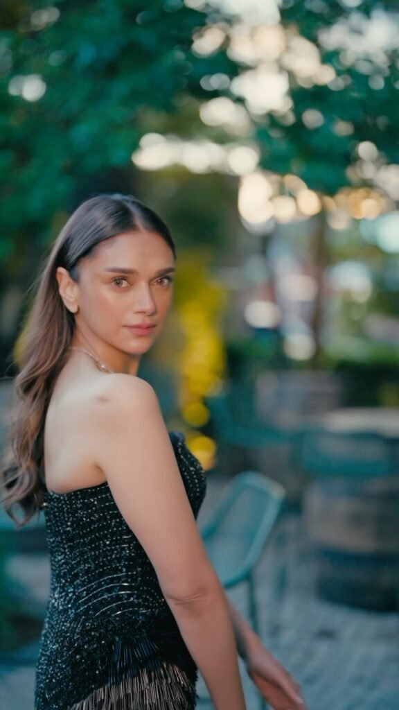 When did Aditi Rao Hydari and Siddharth meet?