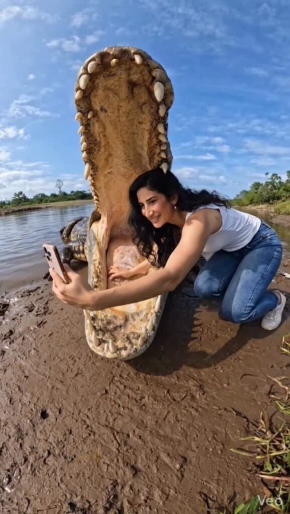 Parul Gulati age
Parul Gulati height
Parul Gulati biography
Parul Gulati boyfriend
Parul Gulati husband
Parul Gulati family
Parul Gulati movies and TV shows
Parul Gulati web series
Parul Gulati Nish Hair
Parul Gulati Shark Tank India
Parul Gulati business
Parul Gulati net worth
Parul Gulati The Traitors Season 2
Parul Gulati Instagram
Parul Gulati career
Parul Gulati Goa villa
Parul Gulati education
Parul Gulati RADA London
Parul Gulati Yeh Pyaar Na Hoga Kam
Parul Gulati Girls Hostel
