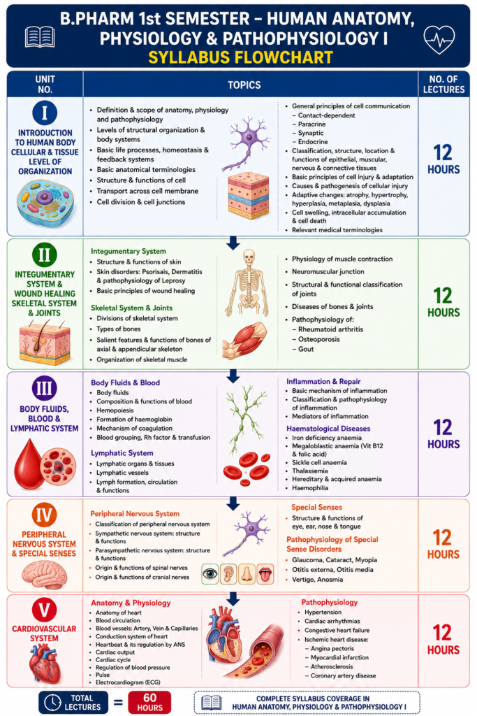 Human Anatomy and Physiology B pharmacy 1st Year notes
B pharm 1st semester human anatomy physiology and pathophysiology notes
Human Anatomy and Physiology 1st Semester Notes unit 1
Human Anatomy and Physiology B pharmacy 1st Year unit 1
B pharm 1st sem Human Anatomy and Physiology notes, Imperfect Pharmacy
Human anatomy and physiology B pharmacy 1st Year book
Human Anatomy and Physiology b pharmacy 1st Year Important Questions PDF
B pharmacy 1st Semester human Anatomy and Physiology Question Paper